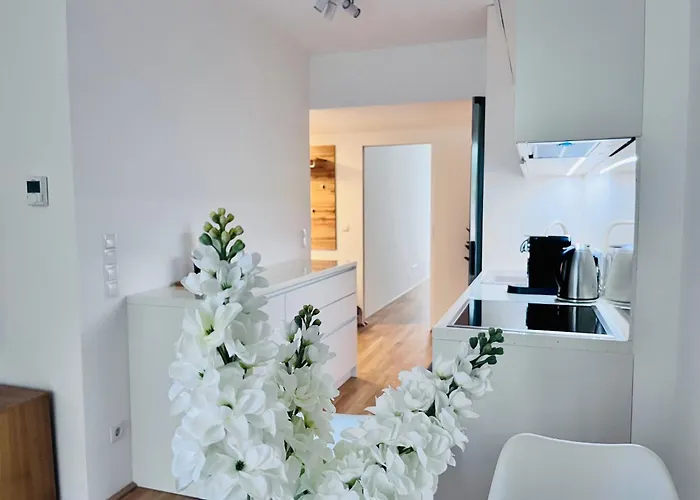 Momentic - Riverside Appartement Vienne
